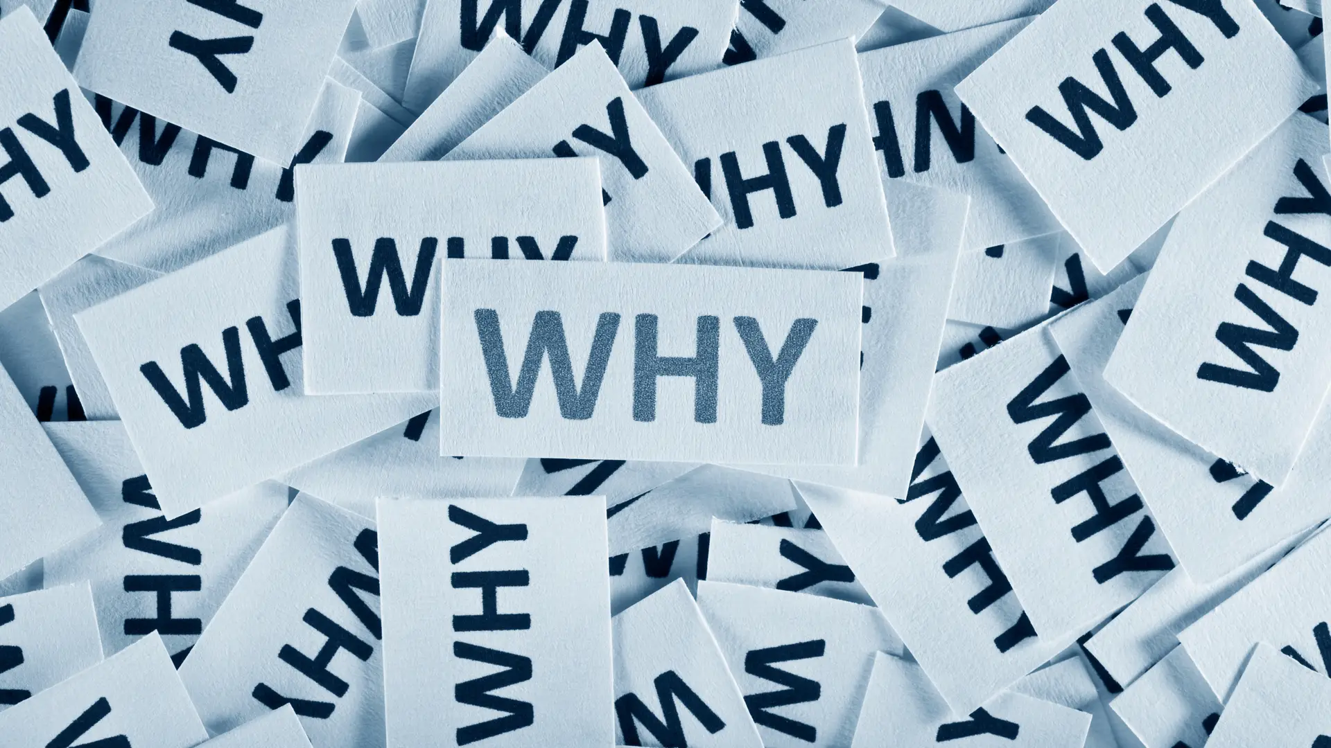 "But… Why?" Understanding The Power of Why