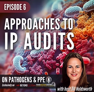 Approaches to IP Audits