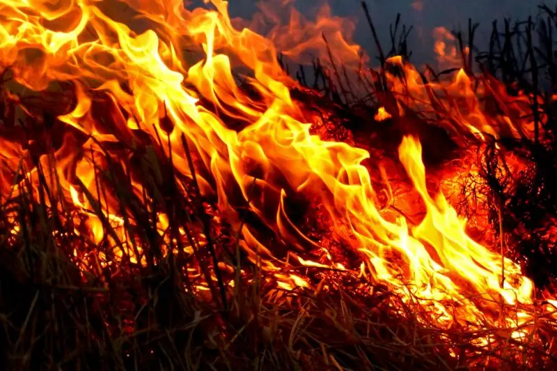 The Fire Outside: Racing to Evacuate